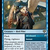 Skycoach Conductor