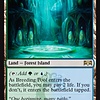 Breeding Pool