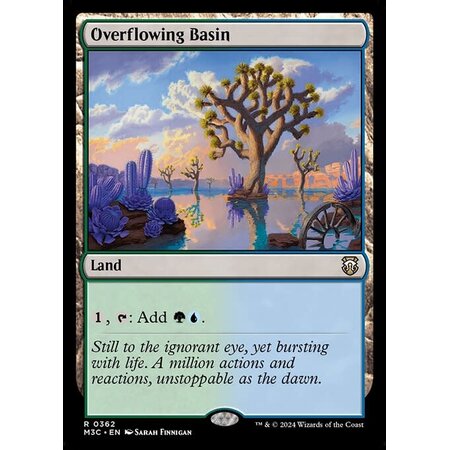 Overflowing Basin