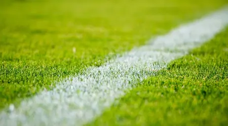 Soccer field grass