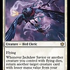 Jackdaw Savior
