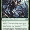 Gnarlwood Dryad - Foil