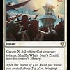 White Sun's Zenith