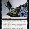 Cauldron Familiar