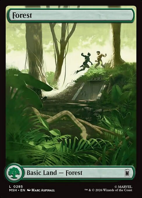 Forest (285) Full Art - Foil