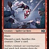 Masked Meower - Foil