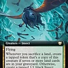 Scouring Swarm