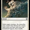 Path to Exile
