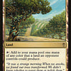 Exotic Orchard