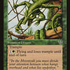 Canopy Dragon