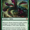 Hydra Omnivore