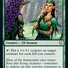 Immaculate Magistrate