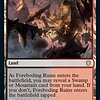 Foreboding Ruins