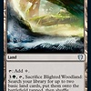 Blighted Woodland