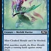 Mist-Cloaked Herald
