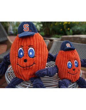 HuggleHounds HuggleHounds Syracuse Otto the Orange