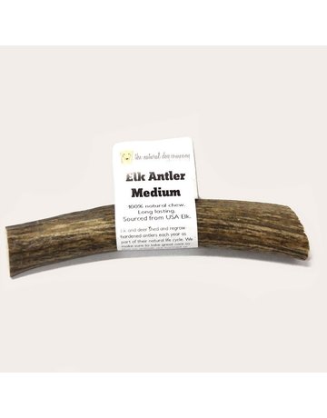 Tuesday's Natural Dog Company Elk Antler medium