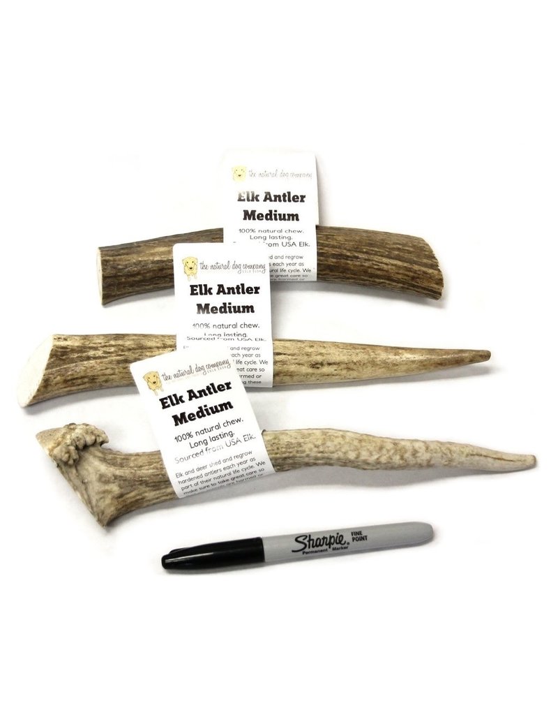 Tuesday's Natural Dog Company Elk Antler medium