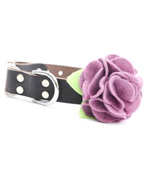 Mimi Green Dog Collar Flower: Hydrangea