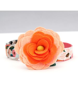 Mimi Green Dog Collar Flower: Orange Magnolia