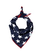 Luck of Tuck bandana - Star