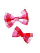 Winthrop Clothing Co. Valentine Check bow tie