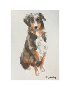 Alexandra Schmeling Fine Art Custom Pet Portrait Kit