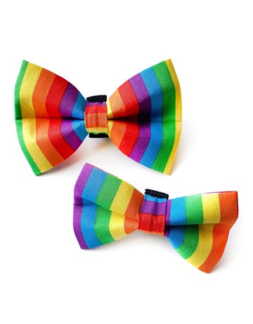 Winthrop Clothing Co. bow tie - rainbow stripe