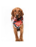 Kendall Wags bandana - Birdie Floral