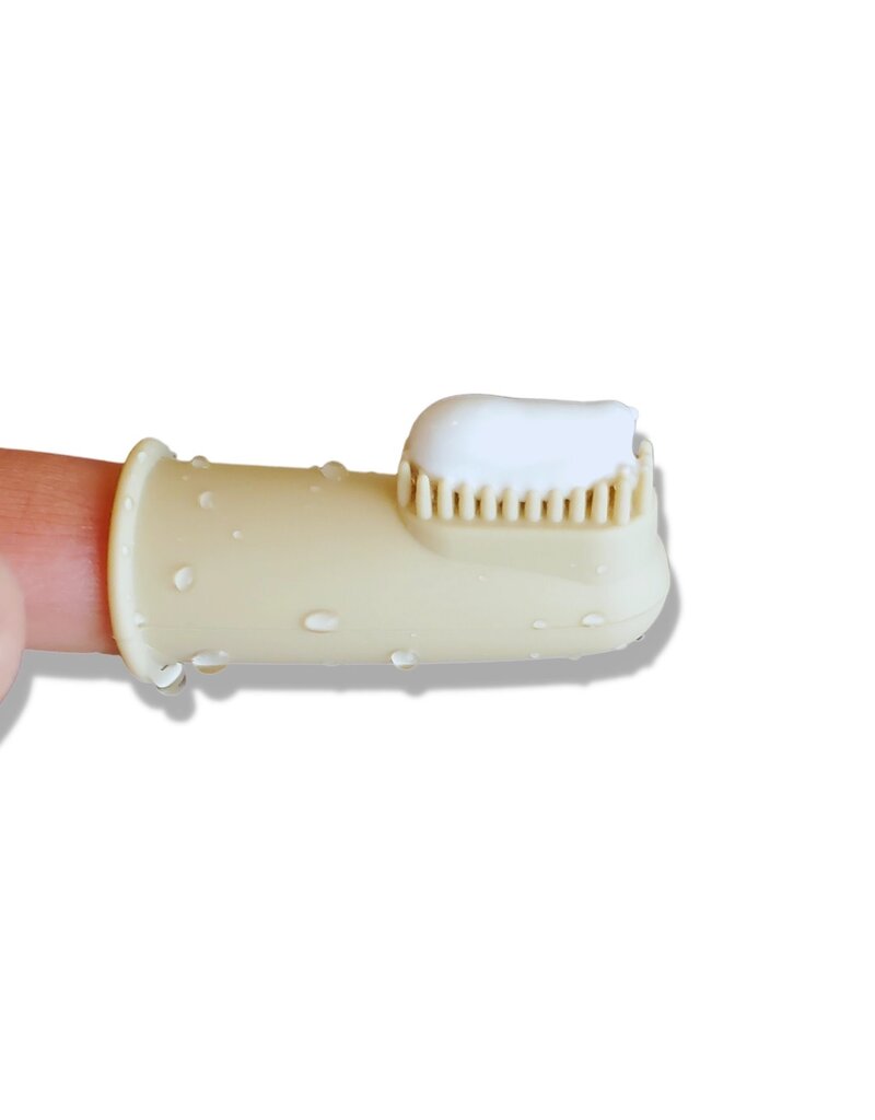 Wag & Bright Supply co Puppy Polisher Finger Brush