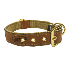 Big Rock BR Embroidered Leather Dog Collar