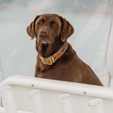 Big Rock Big Rock Leather Dog Collar