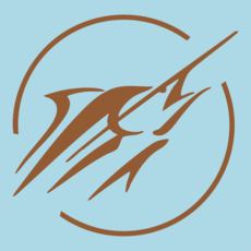 Big Rock Circle Streak Decal