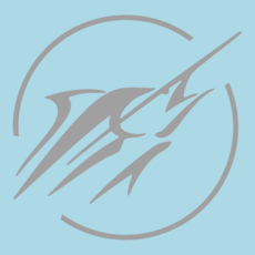 Big Rock Circle Streak Decal