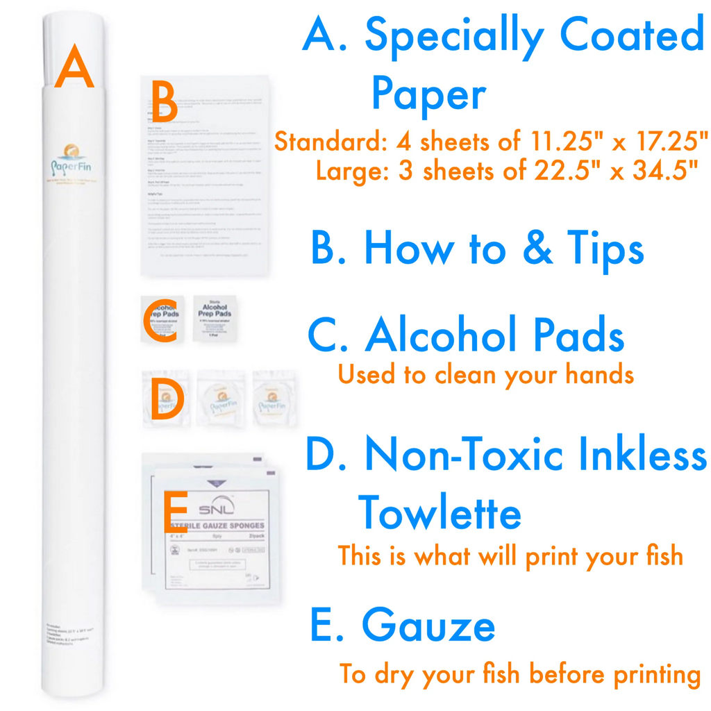 Big Rock Paperfin Art Kit