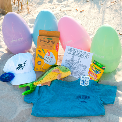 Big Rock Big Rock Toddler Mystery Egg