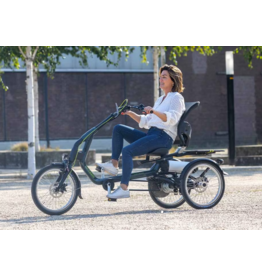 vanraam Van Raam EASY RIDER 3 - NA config 1