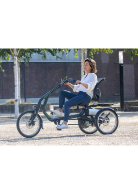 vanraam Van Raam EASY RIDER 3 - NA config 1