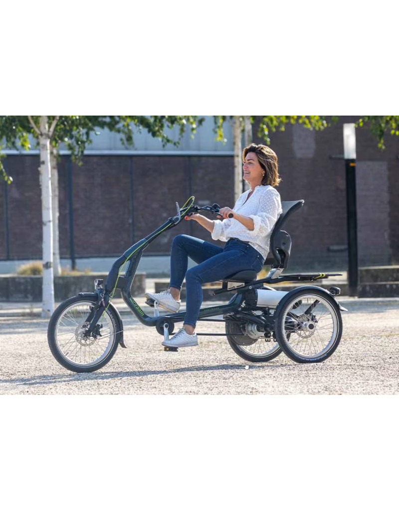 vanraam Van Raam EASY RIDER 3 - NA config 1