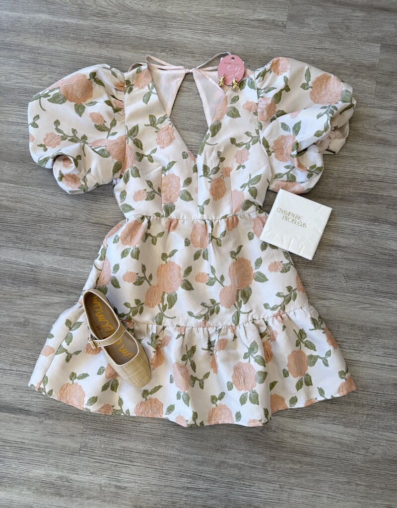 Bida Mini Dress