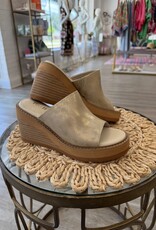 Judy Wedge
