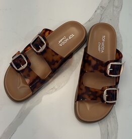 Daniela Tortoise Slide