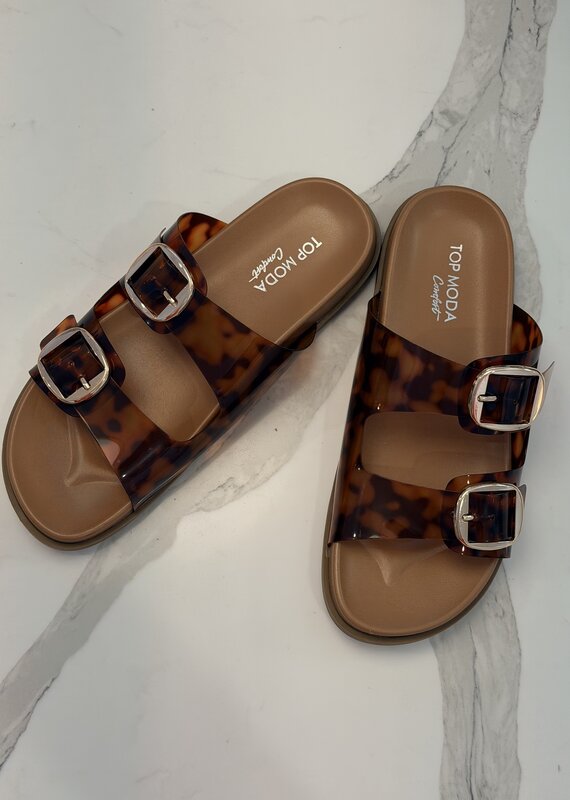 Daniela Tortoise Slide