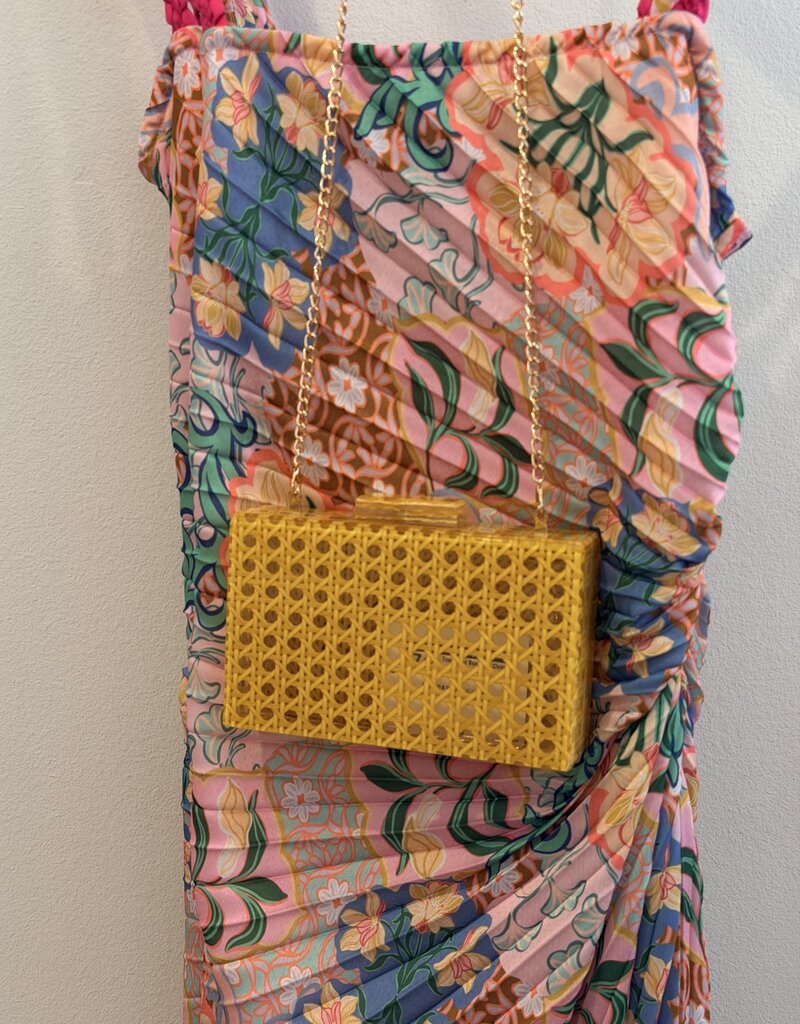 Toss Clear Box Cane Clutch