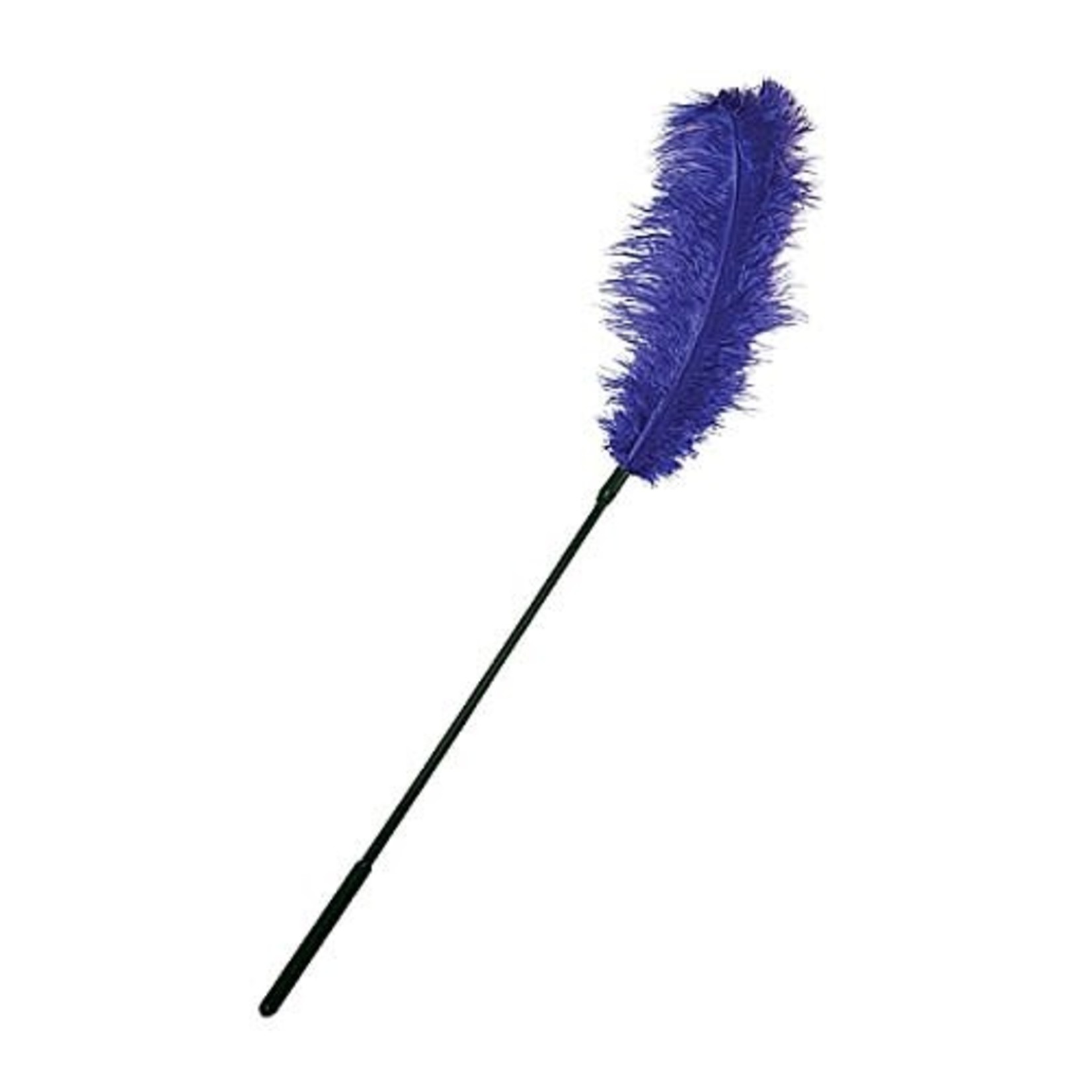 SPORTSHEETS SPORTSHEETS - OSTRICH FEATHER TICKLER - PURPLE