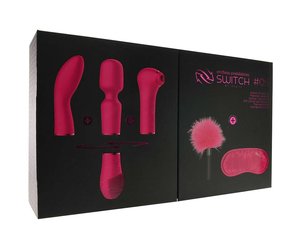 mr switch sex toy SWITCH PLEASURE KIT #05