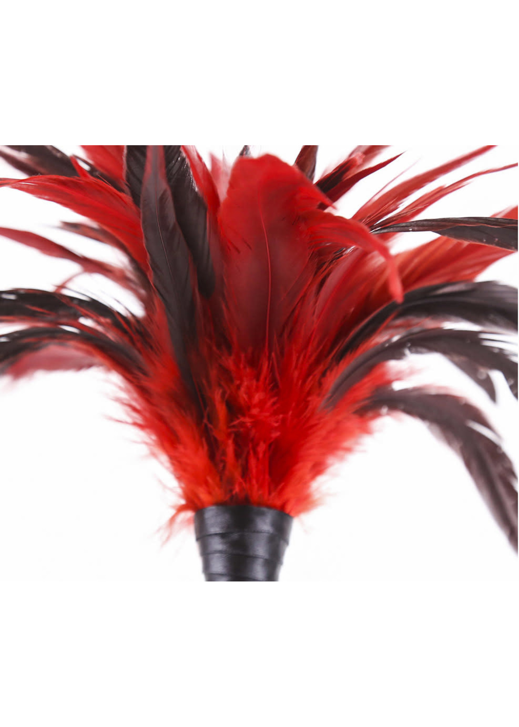 FEATHER TICKLER RED
