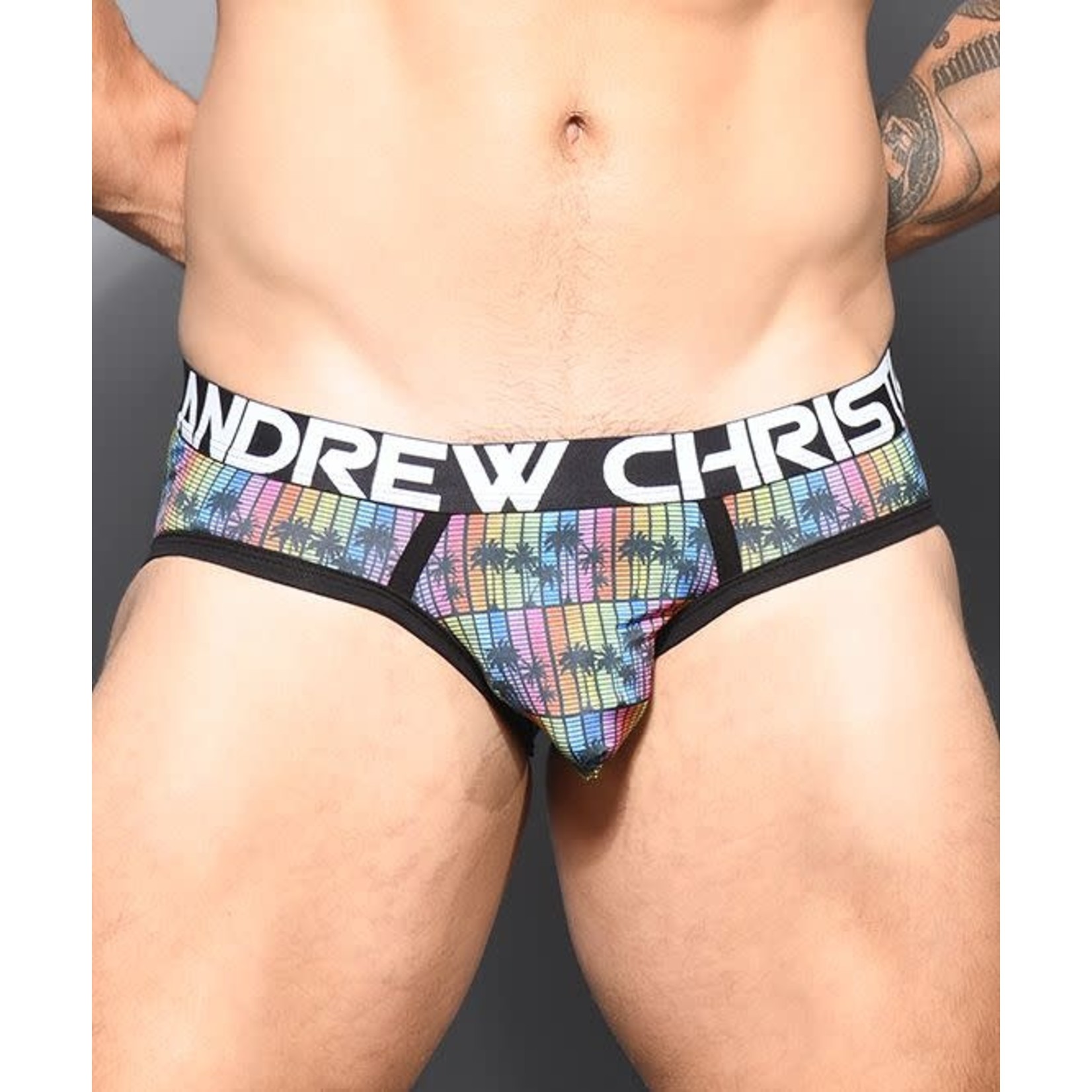ANDREW CHRISTIAN ANDREW CHRISTIAN - DISCO PALMS BRIEF W/ ALMOST NAKED SMALL