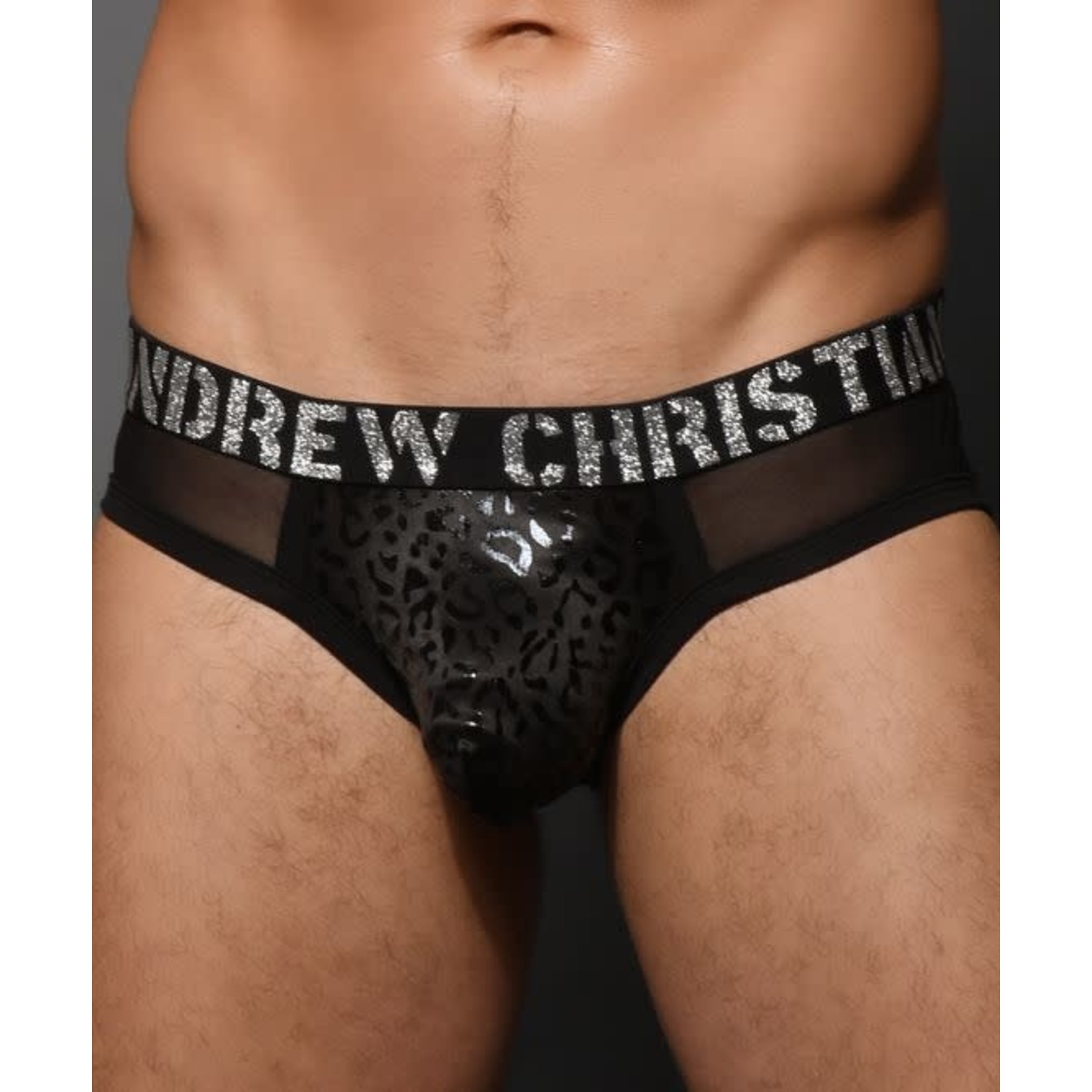 ANDREW CHRISTIAN ANDREW CHRISTIAN - SLICK LEOPARD MESH BRIEF W/ ALMOST NAKED LARGE