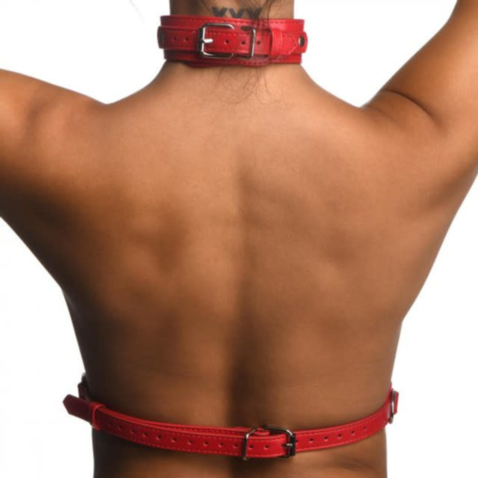 STRICT STRICT - RED FEMALE CHEST HARNESS - M/L
